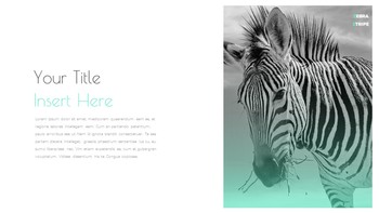 Zebra Stripe Simple Google Presentation_27