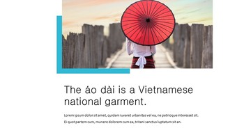 Vietnam Simple Presentation Google Slides Template_06