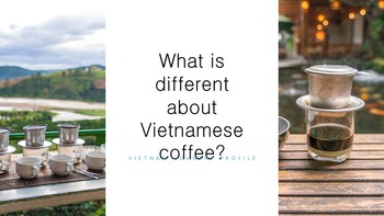 Vietnam Simple Presentation Google Slides Template_07