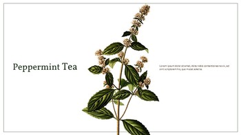 Herbal Tea Presentation Google Slides Templates_05