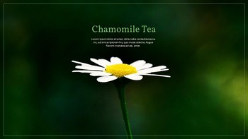 Herbal Tea Presentation Google Slides Templates_11