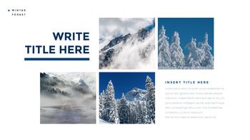 Winter Forest Design brief Templates_10