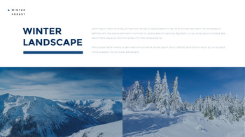 Winter Forest Design brief Templates_15