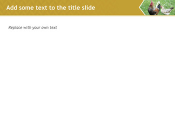 Keynote Images Free Download - a chicken on the field_04