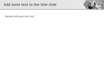 Keynote Images Free Download - a chicken on the field_05