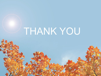 Maple in Fall - Free Images for Presentations_06