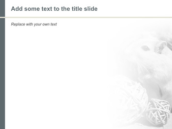 Hamsters for Pet - Free Keynote Template Download_05