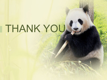 Keynote Template Free Download - A Lovely PandA_06