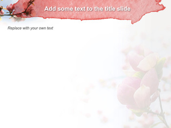 Keynote Images Free Download - Magnolias in the Spring_04