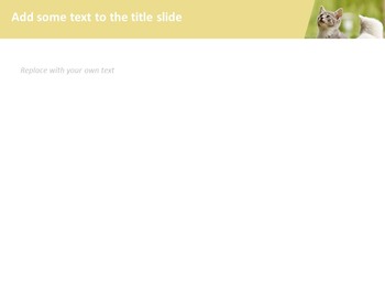 子猫 - 無料のビジネスPowerPointのテンプレート_05