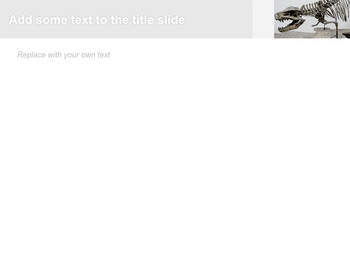 Sfondi keynote gratuiti - Osso di dinosauri_04