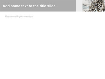 Sfondi keynote gratuiti - Osso di dinosauri_05
