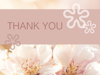 Keynote online Free - Colorful Spring Flowers_06