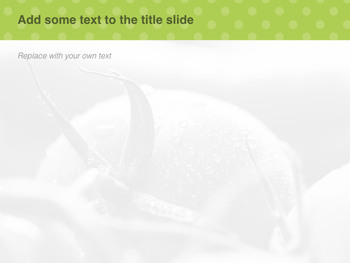 Keynote Template Free Download - Tomato and Carrot_04