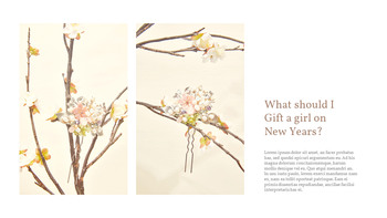 韩国元旦礼物 PowerPoint设计思想_06