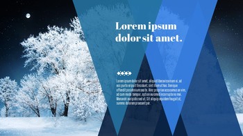 Snowflake Google Presentation Templates_10