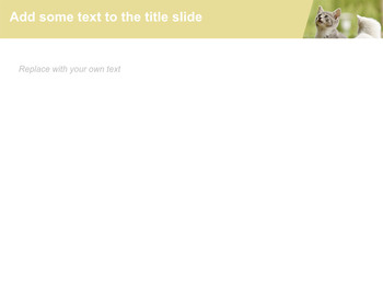 子猫 - キーノート無料ダウンロード_05