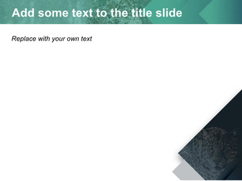 Leopard - Free Images for Presentations_04