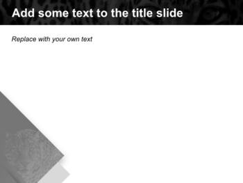 Leopard - Free Images for Presentations_05