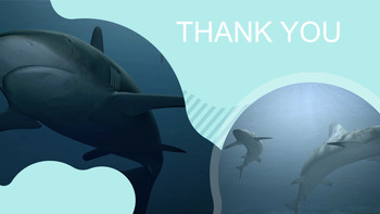 Keynote Images Free Download - Deepsea Shark_06