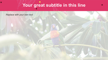 Keynote Images Free Download - Parrot_04