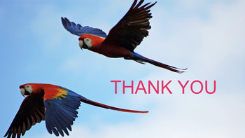 Keynote Images Free Download - Parrot_06