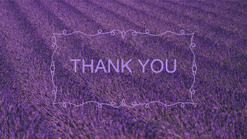 Lavender Field - Free Presentation Templates_06
