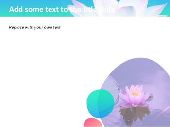 莲花在湖中 - 免费演示模板_04