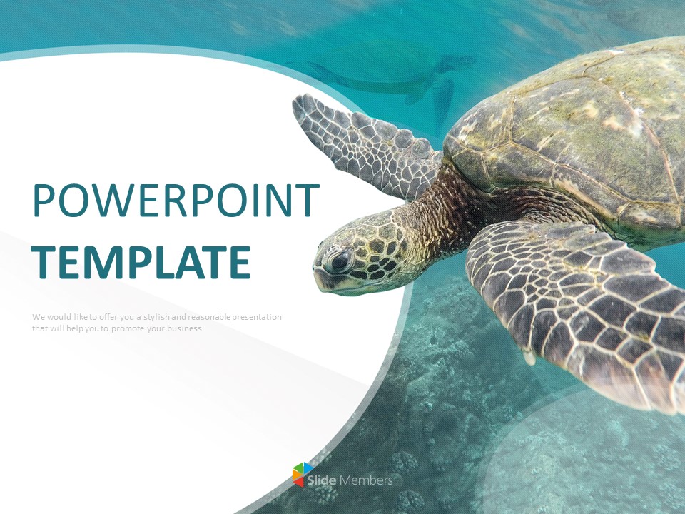 free-ppt-template-sea-turtle