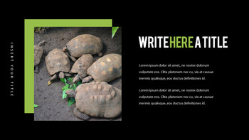 Reptiles Mejor PPT_06