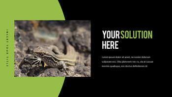 Reptiles Meilleur PPT_08