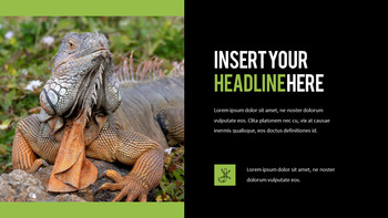 Reptiles Best PPT_10