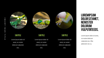 Reptiles Meilleur PPT_17