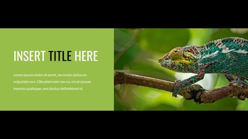 Reptiles Google Slides Templates for Your Next Presentation_05