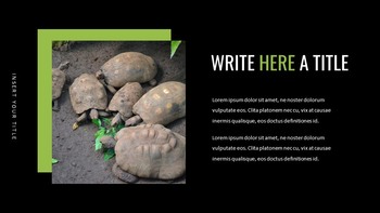 Reptiles Google Slides Templates for Your Next Presentation_06