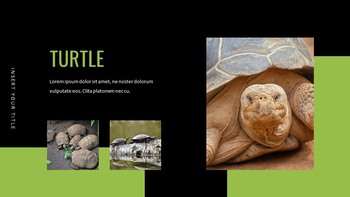 Reptiles Google Slides Templates for Your Next Presentation_07