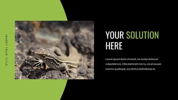 Reptilien Google Slides-Vorlagen für Ihre nächste Präsentation_08