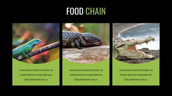 Reptiles Google Slides Templates for Your Next Presentation_09