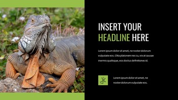 Reptiles Google Slides Templates for Your Next Presentation_10