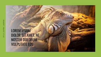 Reptilien Google Slides-Vorlagen für Ihre nächste Präsentation_12