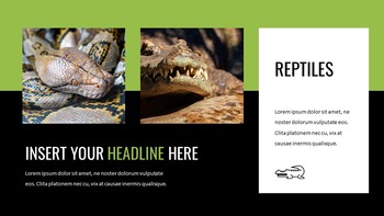 Reptiles Google Slides Templates for Your Next Presentation_15