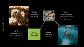 파충류 프레젠테이션을 위한 구글슬라이드 템플릿_16