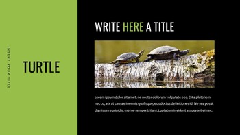 Reptiles Google Slides Templates for Your Next Presentation_20