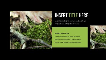 Reptiles Google Slides Templates for Your Next Presentation_27