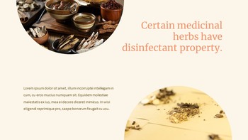 Oriental Medicine Simple Google Slides Templates_18