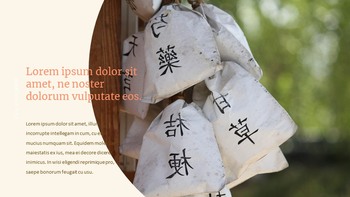 Oriental Medicine Simple Google Slides Templates_19