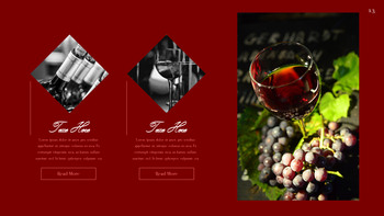 酒会 演讲PPT._24