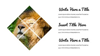 Jungle Simple Google Slides Templates_05