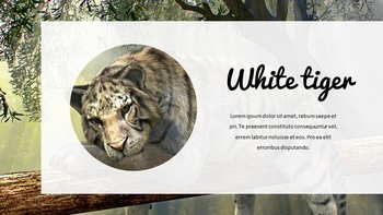 Jungle Simple Google Slides Templates_08