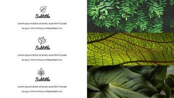 Jungle Simple Google Slides Templates_14